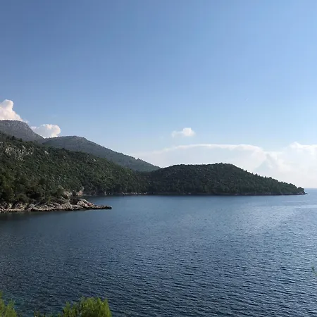 Villa Villa Dalmata Brsecine