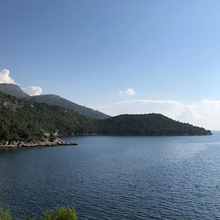빌라 Dalmata Brsečine