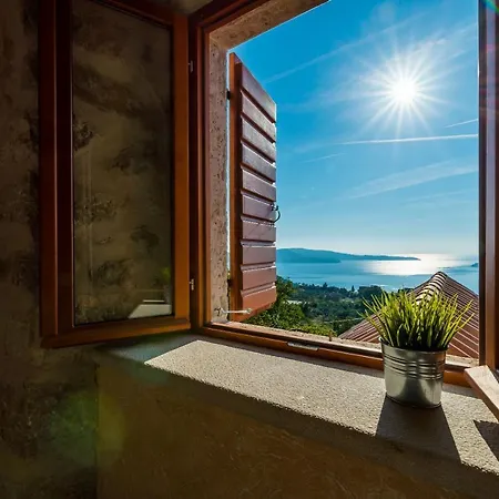 Villa Villa Dalmata *